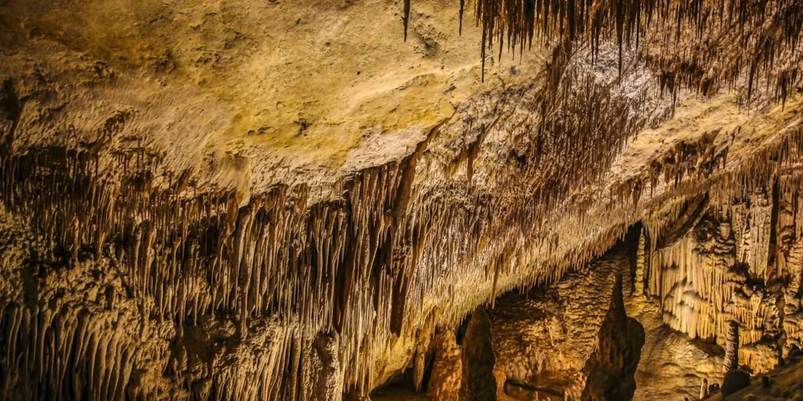 Caves of Drach close-up of cascading stalactite curtains covering an entire cave wall — Mallorca